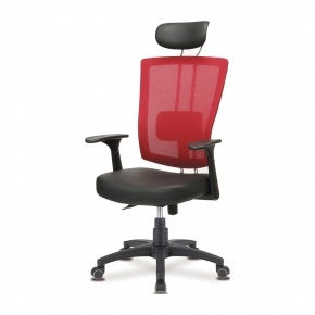 RS-100/101 ��� I