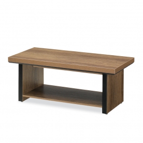 LFST-1 ����Ź��