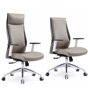 CH-110PU ����������