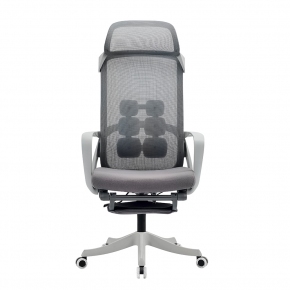 BT-202HG ���װ��к긯(����Ʈ�׷���)