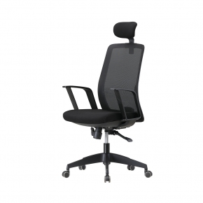 FX-100(��)����