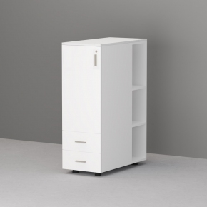 �ڸ�Ƽ��(D800)(�Ϲ���)