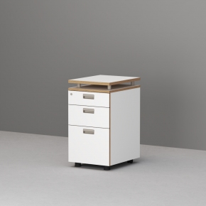 �ڸ�뺸����Ź(�Ÿ�)