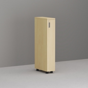 ĳ��ݿ����1�ο���(�Ÿ�)(������) ������