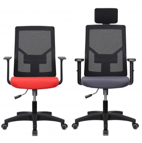 M10-BML/BHL �ø���