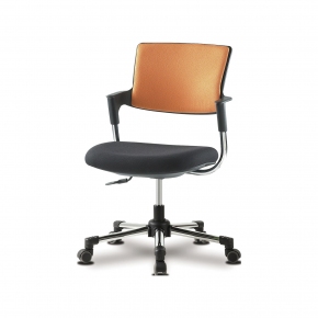 ���� ȸ������